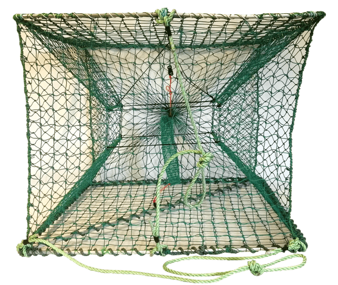 Hovedbilde Kongekrabbeteine150x145x107cm