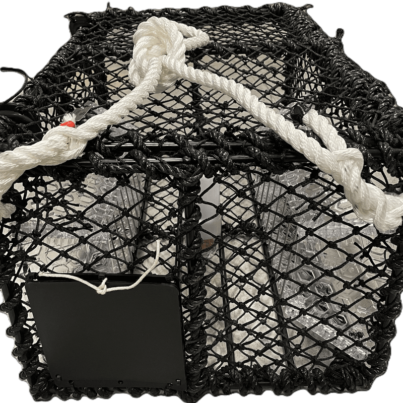 Kamskjellteine 10,5kg